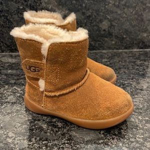 Toddler Uggs
